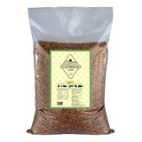 Tenebrio Molitor Desidratado 1kg Frete Grátis