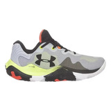 Anatomix