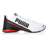 Tenis Masculino Cell Divide