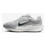 Tenis Nike Winflo 11