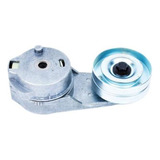 Tensionador Alternador X terra