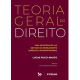 Teoria Geral Do Direito Uma Introdução Ao Estudo Do Pensamento Jurídico Contemporâneo De Amato Lucas Fucci Editora Forum Capa Mole Em Português