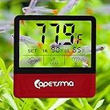 Thermometer