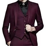 Terno Slim Masculino Kit Completo Executivo Calça Blazer Colete BR Numérico 52 Regular Regular Vinho 