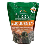 Tradicional