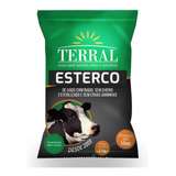 Terra Preparada Esterco Bovino Curtido Para Plantio Morangos
