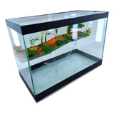 Terrário 50x25x35 Tartarugas Rampa Plataforma Aquário Peixes