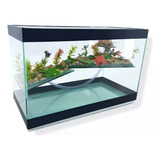 Terrário Médio N4 35x16x22cm 12l Tartarugas Jabutis Répteis