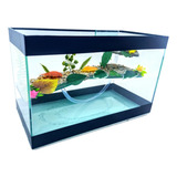Aquario