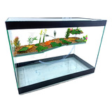Terrario N 7 Grande 50x25x35cm Tartaruga Aquário Plataforma