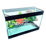Terrario N3 Médio 30x16x19 Aquário Tartarugas Jabuti Repteis