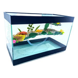 Terrario N5 Grande 40x19x25cm Tartaruga Aquario Beteira Full