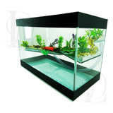 Terrário N5 Tartaruga 40x19x25cm Aquário Beteira Água Grande
