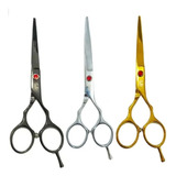 Profissional