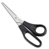 Profissional