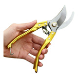 Profissional