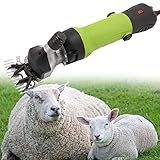 Tesoura De Lã Elétrica Ferramenta De Tosquiadeira De Ovelha Máquina De Corte De Tesoura De Ovelha Velocidade Para Cavalo Gado Camelo Paquiderme Green 110v