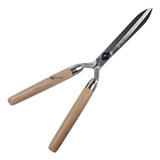 30cm
