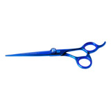 Profissional