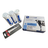 Teste Rapido De Antibiotico
