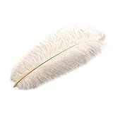 TG LLC Treasure Gurus Branco Avestruz Pluma Pena Pirata Steampunk Chique Vitoriano Chapéu Penas Plumas Branco Tamanho Nico