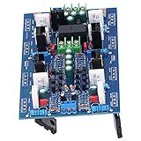 Tgoon Placa De Amplificador De Potência Principal Receptor Estéreo De Som Placa Amplificadora De Potência Suporta 600W PCB