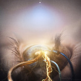 The Agonist Eye Of