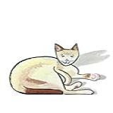 The Cat Noticed You Came Home A Journal For Cat Lovers