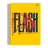 The Flash 80fls 1mat