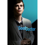 The Good Doctor O Bom Doutor 4 5 E 6 Temporada leia 