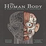 The Human Body 
