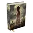 The Kiss Of Deception - Crônicas De Amor E Ódio - Vol. 1, De Pearson, Mary. Crônicas De Amor E Ódio (1), Vol. 1. Editorial Darkside Entretenimento Ltda  Epp, Tapa Dura En Português, 2016