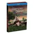 The Vampire Diaries 1ª Temporada - Box Com 4 Blu-rays