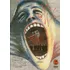 The Wall - Dvd - Bob Geldof - Christine Hargreaves