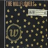 The Wallflowers Cd Bringing Down The Horse 1996