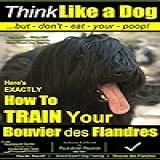 Think Like A Dog But Don T Eat Your Poop Paws On Paws Off Bouvier Des Flandres Breed Expert Training How To Train Your Bouvier Des Flandres How Your Bouvier Des Flandres English Edition 