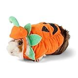Thrills Chills Porquinho Da índia Pequeno Animal De Estimação Abóbora Feriado Halloween Fantasia Acessório Engraçado Abóbora Fofa