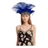 Tiara Com Design De Penas De Showgirl