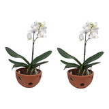 Tigela 2x Barro Orquidea