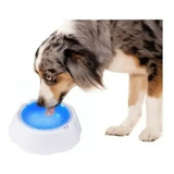 Tigela Água Fria Para Pets Cães E Gatos Bebedouro 500ml