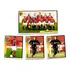 Time Botafogo Sp Campeonato Brasileiro 99 1999 Panini