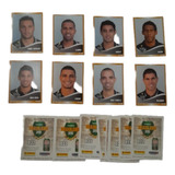 Time Completo 16 Figurinhas Do Galo Camp Bras 2010 Panini