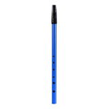 Tin Whistle Irish C