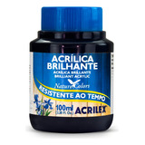 Tinta Acrilica Brilhante 100ml