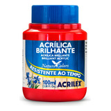 Tinta Acrilica Brilhante 100ml