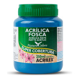 Tinta Acrilica Fosca Artesanato