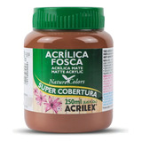 Tinta Acrilica Fosca Artesanato