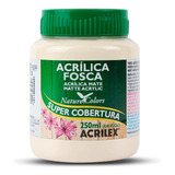 Tinta Acrilica Fosca Artesanato