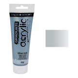 Tinta Acrilica Graduate 120ml