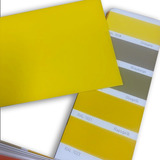 Tinta Eletrostática A Pó Amarelo Skol Hb 5 Kg